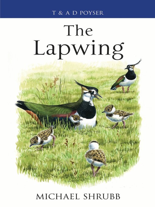 Title details for The Lapwing by Michael Shrubb - Available